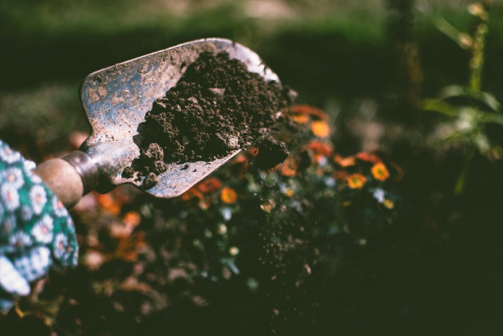 A gardener's hands plant seeds in cleared soil, with blooming flowers in background garden, symbolizing growth after letting go.
